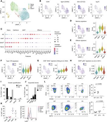 Self-reactivity of CD8 T-cell clones determines their differentiation status rather than their responsiveness in infections